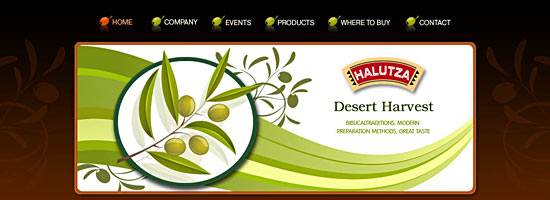 Разработка дизайна сайта для компании по производству оливкового масла